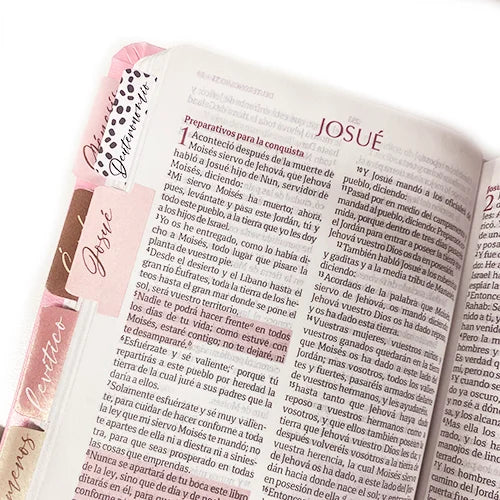 Biblia Reina Valera 1960 Fuente de Bendición Rosa PERSONALIZADA con Nombre + Tabs