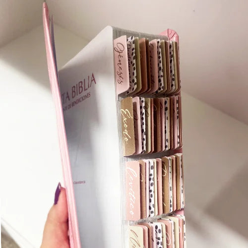 Biblia Reina Valera 1960 Fuente de Bendición Rosa PERSONALIZADA con Nombre + Tabs