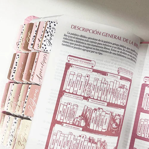 Biblia Reina Valera 1960 Fuente de Bendición Rosa PERSONALIZADA con Nombre + Tabs