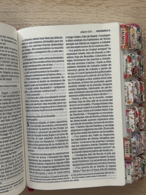 Biblia NTV Personalizada