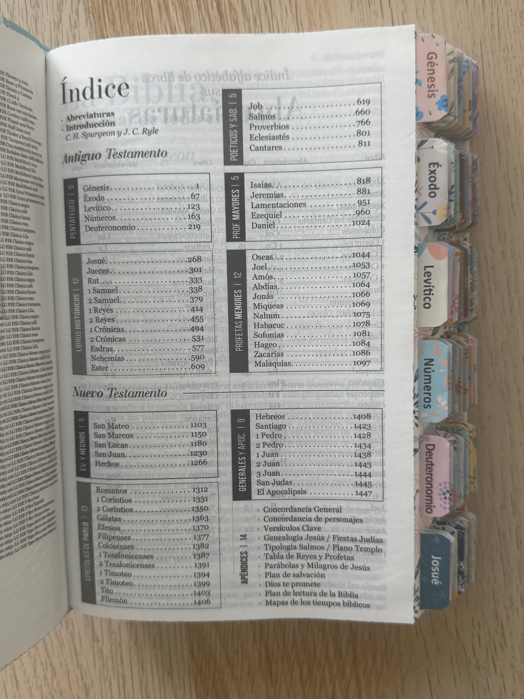 Biblia RVR 1960 letra grande personalizado