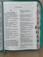 Biblia RVR 1960 letra gigante personalizada