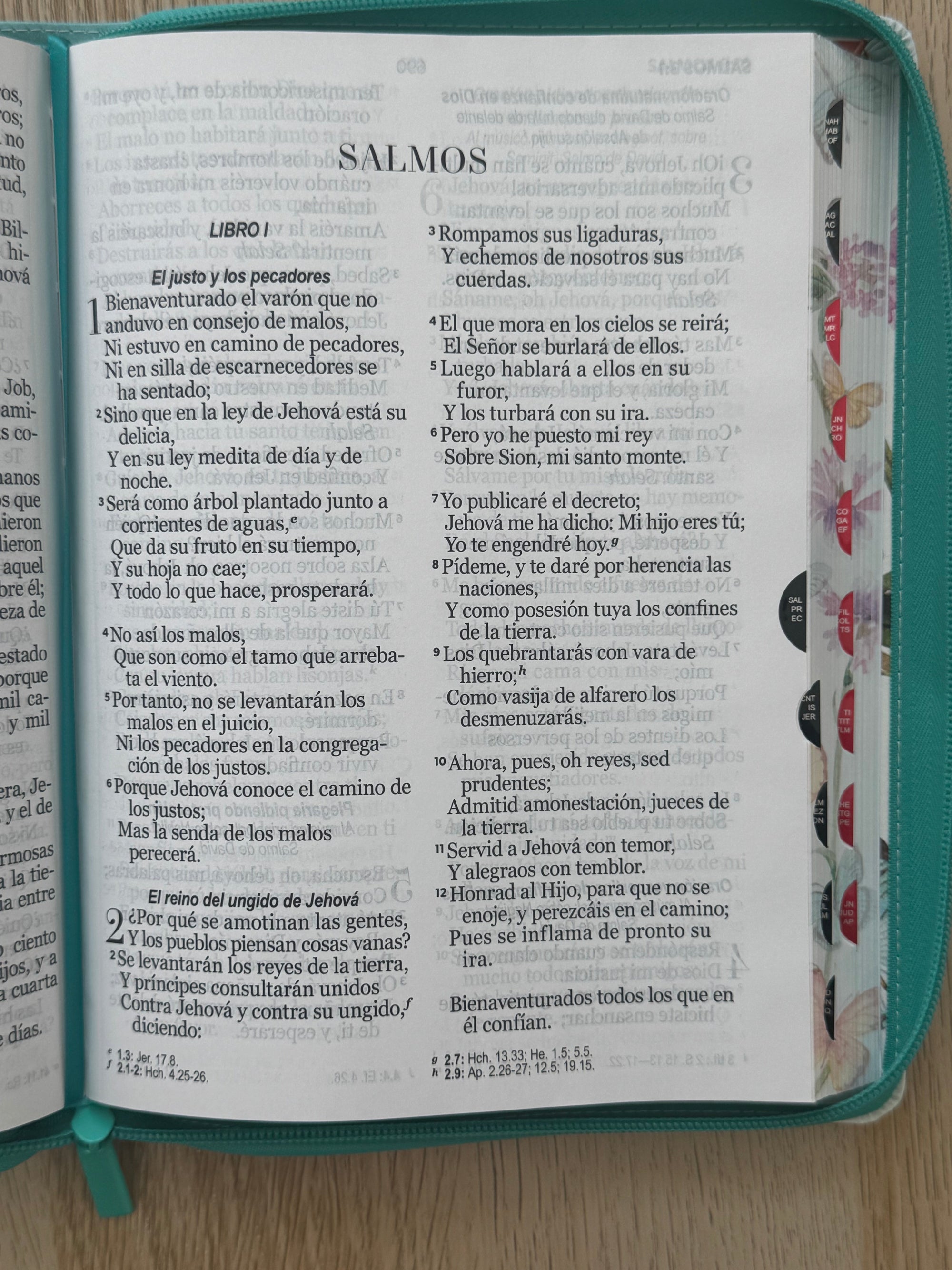Biblia RVR 1960 letra gigante personalizada