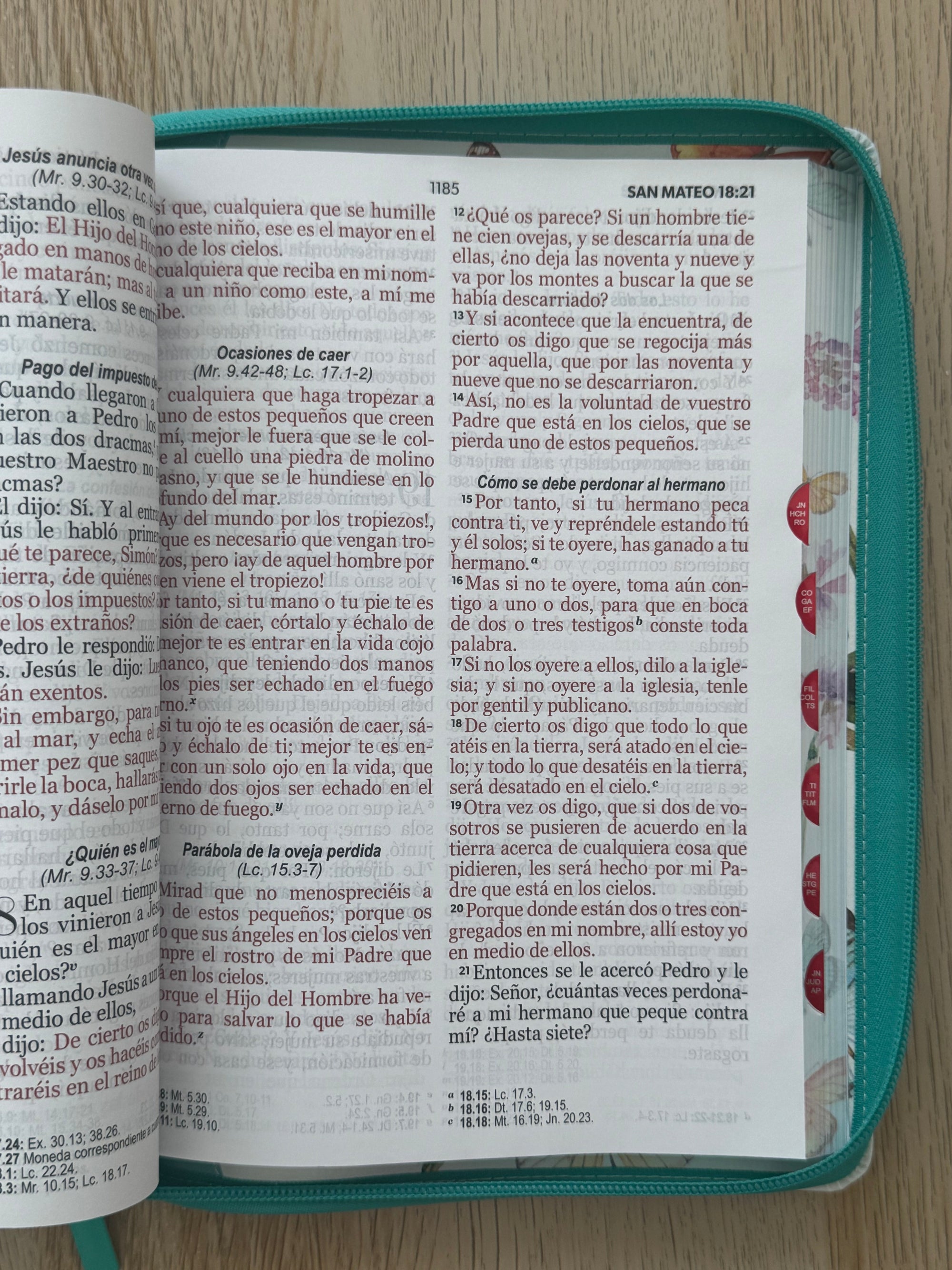 Biblia RVR 1960 letra gigante personalizada