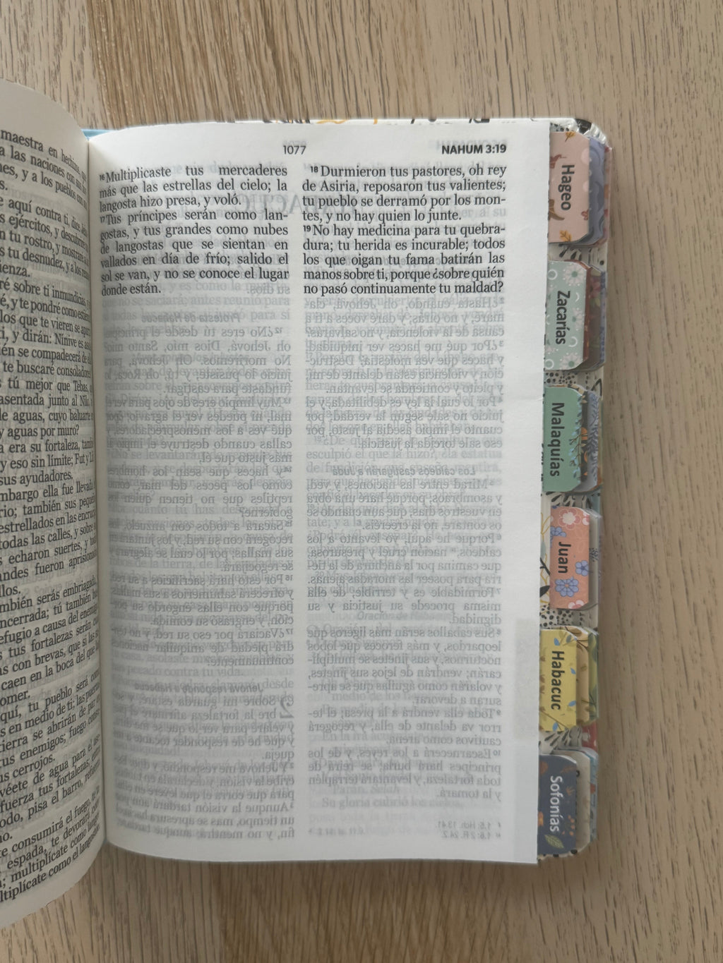 Biblia RVR 1960 letra grande personalizado