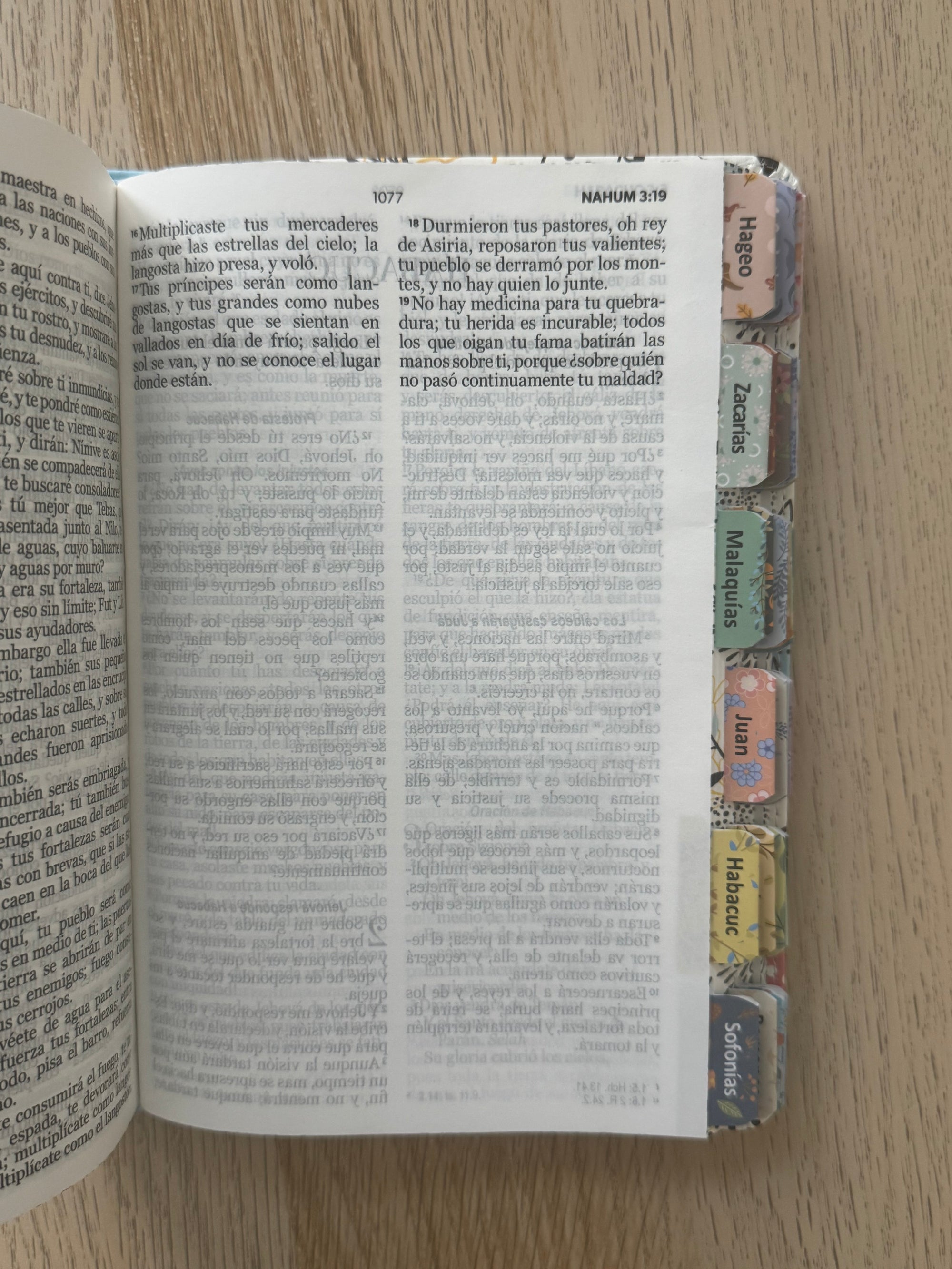 Biblia RVR 1960 letra grande personalizado