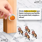 Isca Matadoras de Baratas - Não toxica para Pets