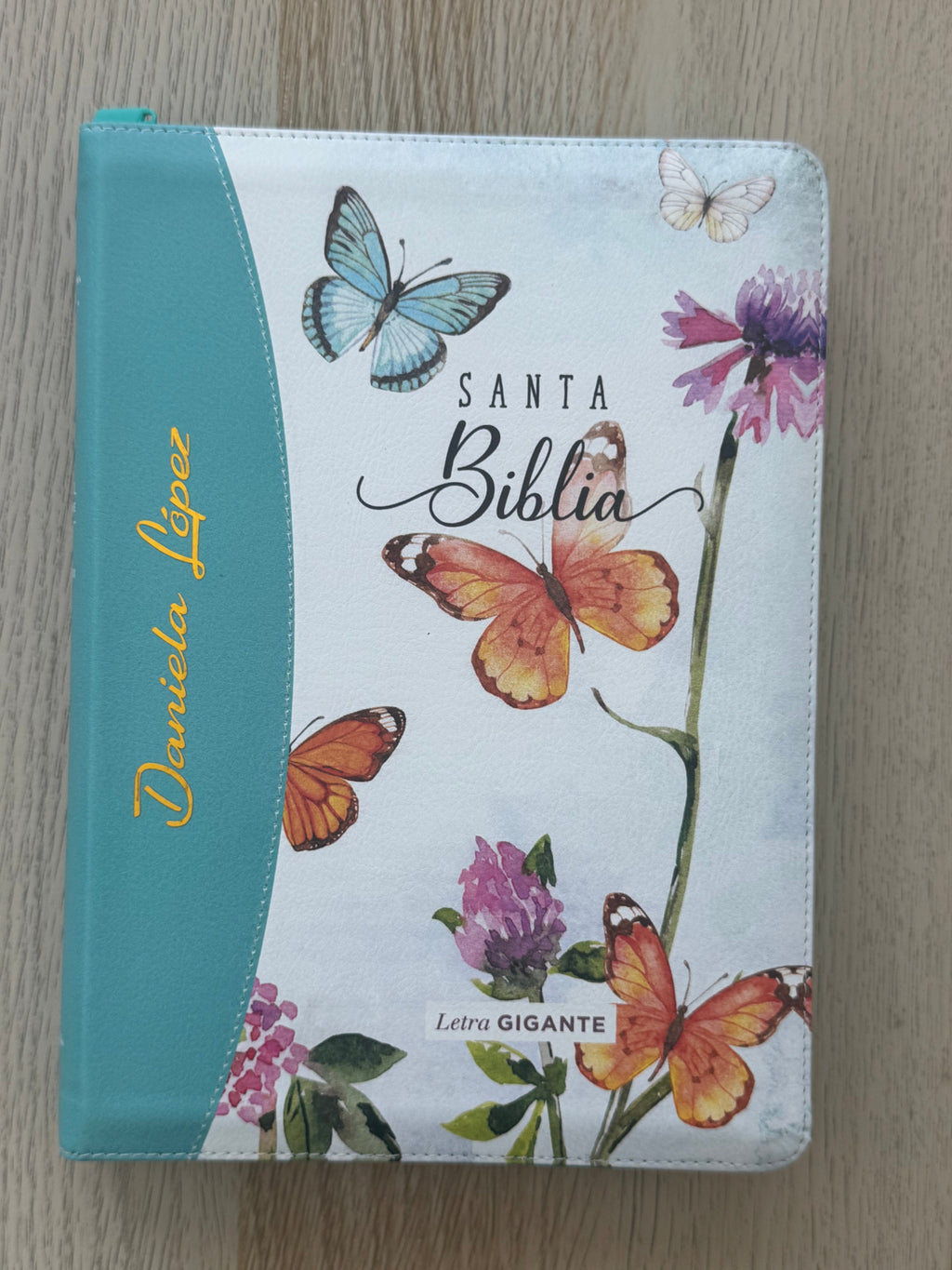 Biblia RVR 1960 letra gigante personalizada