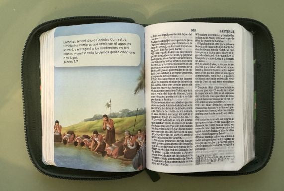 Biblia RVR 1960 Bolsillo para Niños Animales con cierre