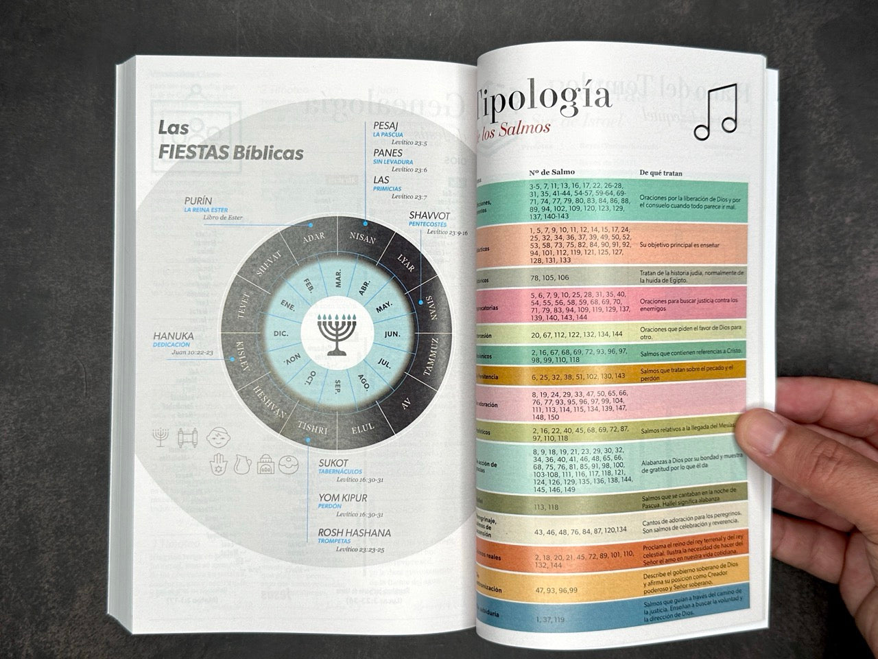 Biblia Economica RVR 1960 rosa