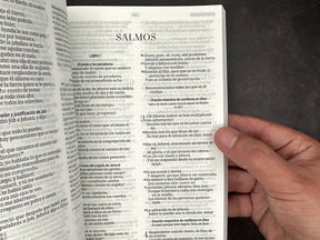 Biblia Economica RVR 1960