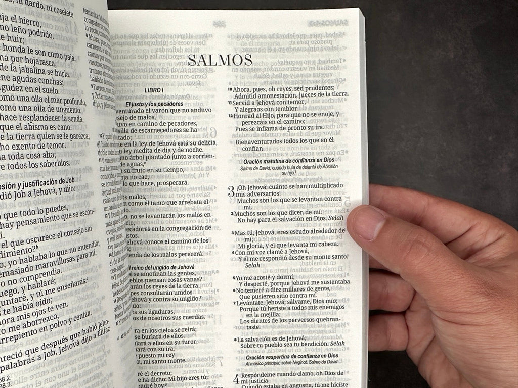 Biblia RVR 1960 económica