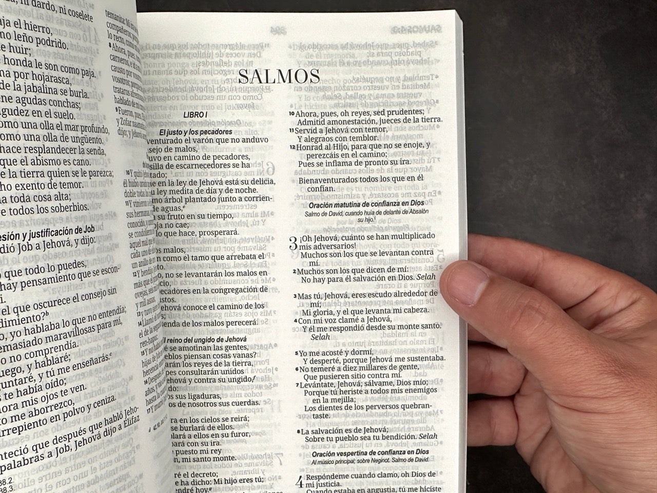 Biblia RVR 1960 economica