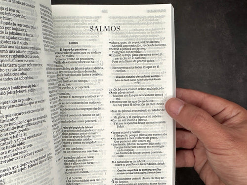 Biblia económicas RVR 1960 león