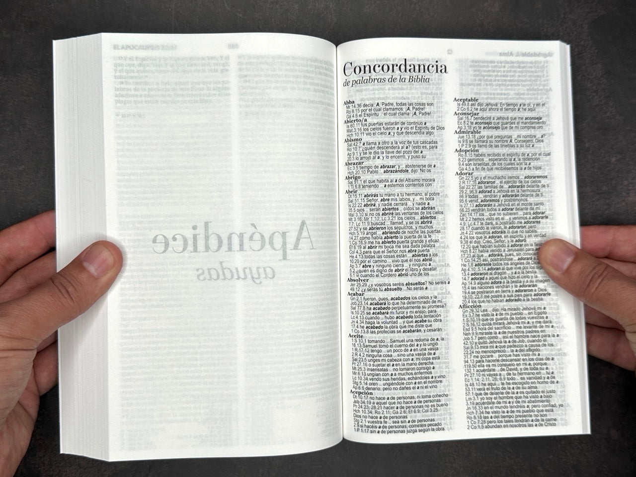 Biblia RVR 1960 economica