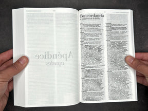 Biblia RVR 1960 economica