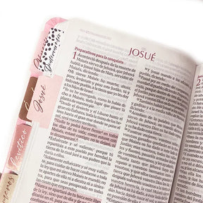 Biblia Reina Valera 1960 Fuente de Bendición Rosa PERSONALIZADA con Nombre + Tabs
