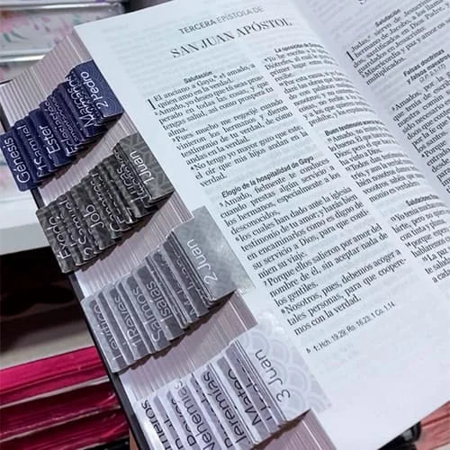 Biblia PERSONALIZADA León Deluxe Reina Valera 1960 Letra GRANDE con Liga